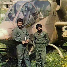 شیرودی در کنار
