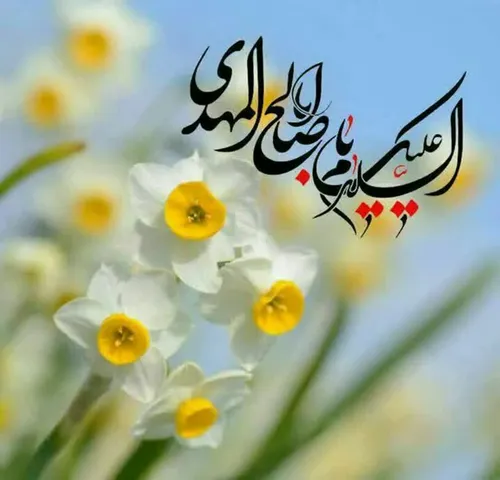 ❣ سلام امام زمانم❣