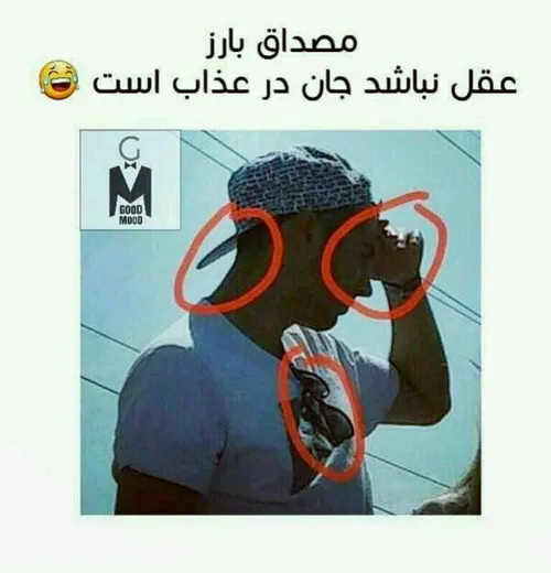 خنگول