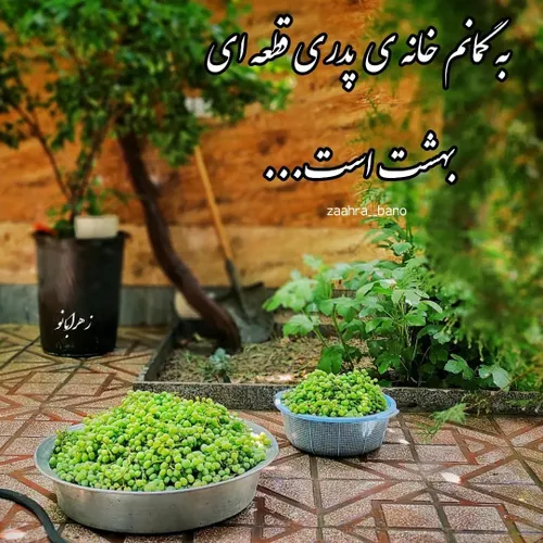 به گمانم خانه پدری قطعه ای بهشت است...