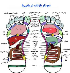 هرانچه باید دانست https://telegram.me/danstnih