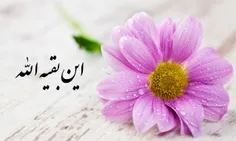 آیا هنوز زمان توبه فرا نرسیده است؟؟؟؟؟