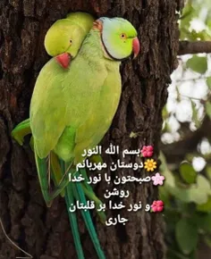 #عکس_نوشته👌