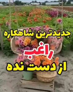 زندگي، بودن ميخواهد