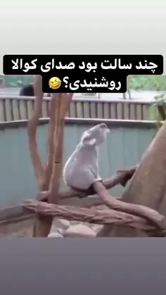 منکه دیشب😌😂