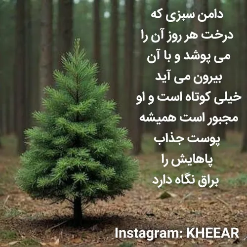  kheear_sabz 71567170 - عکس ویسگون