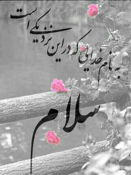 شعر و ادبیات monaabolghasemi 24231679 - عکس ویسگون