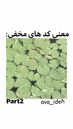 لایک یادتون نره❤️