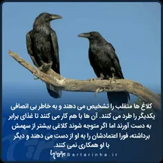 #عکس_نوشته #دانستنیها