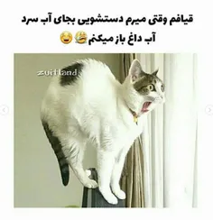 شمام اینجوری ؟😂😂😂 #طنز #جذاب #فانتزی #عکس نوشته