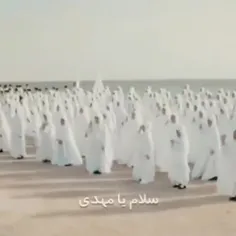 mohammadabbasikafsh 74662815