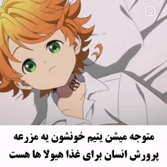 ناکجا آباد موعود