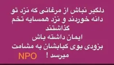 #عکس نوشته