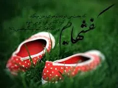 گوناگون mohamadshariati 1830732