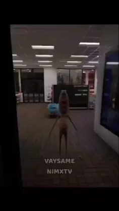 ولی جدیداً از مارکوس خوشم اومده🤡✨