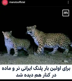 ‏ولی من هنوز کنار انسان ماده دیده نشدم😩