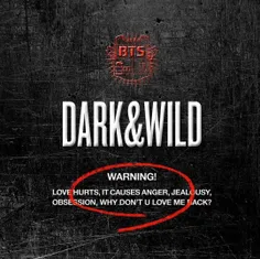 ⤵️  آلبوم "Dark & Wild" بی‌‌تی‌اس به بیش از ۸۰۰ میلیون اس