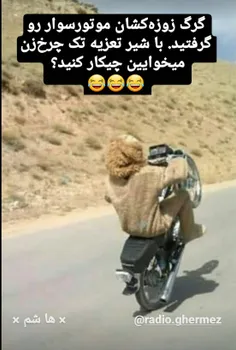 😹😛سوژه۲..با این چ میکنید؟!