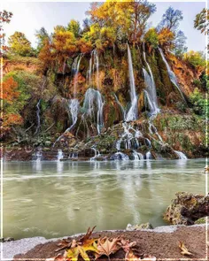 🌸 هزار آرزوی بشر 