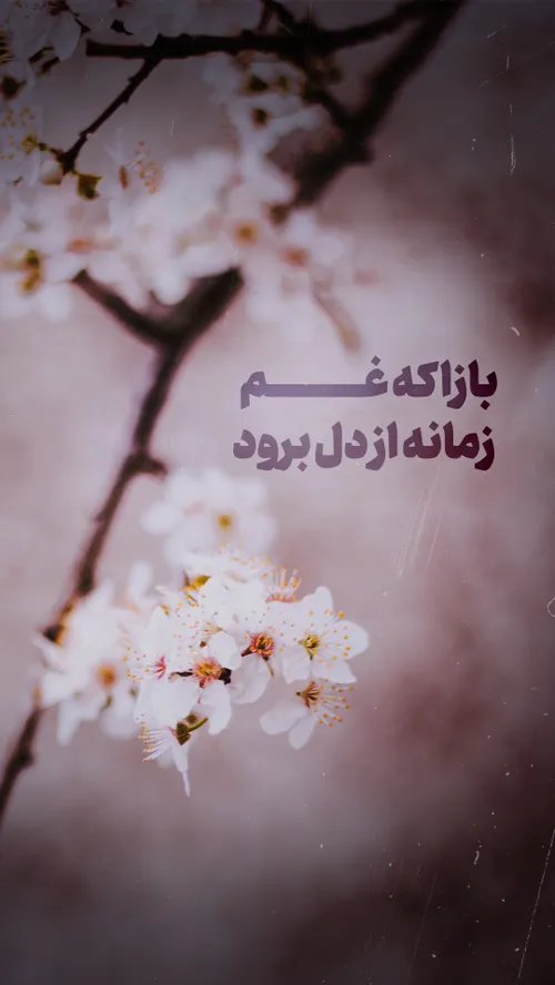 بازا که غم زمانه از دل برود