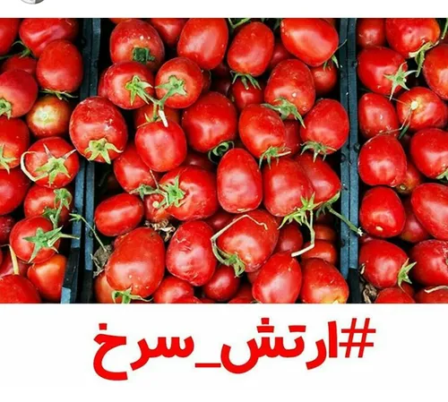 یه جماعتیم هستن😐 👇