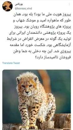 برعندازان بی وطن لطفا حرف نزنند..پیروز نماد ایرانی بود