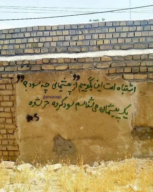 سود پشمیانی