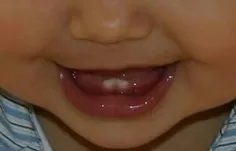سلام. صبح همگی بخیر.