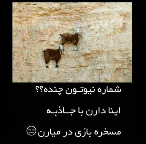 کسی شمارشو نداره؟