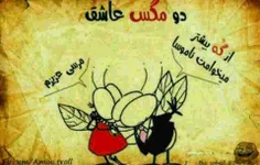 عشقو داشته باش
