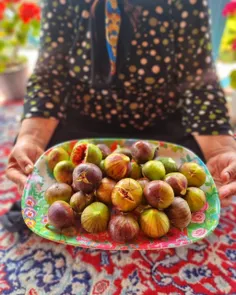 میوه بهشتی 😍