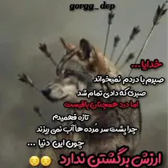 عاشقانه ها aynaz3800 33301167