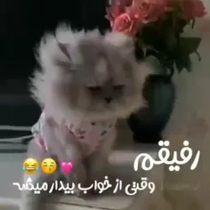 خودم وقتی ازخواب بیدارم میشم🤣