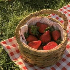 میشه یکم حمایتم کنید منم دل دارم دیگه کلی پست میزارم اخرش
