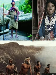 در کوههای هیمالیا قبیله ای زندگی میکنند که از سالها پیش ت