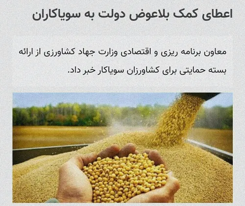 *🔻 اعطای کمک بلاعوض دولت به سویاکاران*