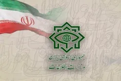 پیامک هشدار آمیز وزارت اطلاعات به شهروندان درباره شگردهای