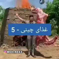 این قسمت شتر تنوری 😂