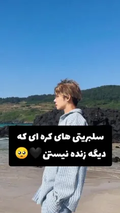 بچه ها من قبلاً هم سولی رو از دست داره بودم 
می‌دونم چه حس بدی داره پس لطفاً مراقب آیدلاتون باشید 
و اون شیپر های لعنتی شما باعث شدید بی تی اس زجر بکش 
با بخش کردن شایعات نادرست 
دلتون میخواد آیدلاتون