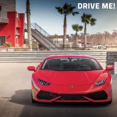 Celebrate #Lamborghini week with @XtremeXperience, by ent