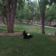 آرامش از تنهایی شروع میشه. 
