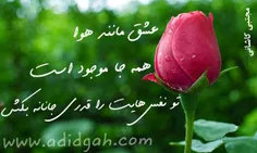 عاشقانه ها kiarashkia13 23626583