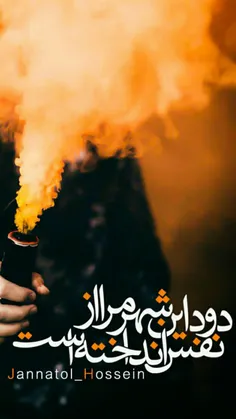 دود این شهر مرا از نفس انداخته است