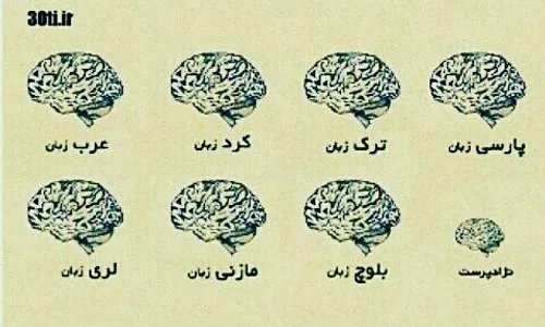 فاک نژاد پرست 😂