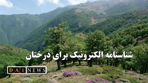 اجرای طرح شناسنامه دار کردن الکترونیک درختان در چند استان