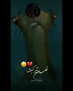 کیرم تو این داوری 🖕😒