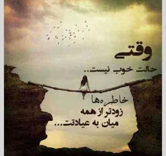 واقعاااا○○○○○●●●●●●