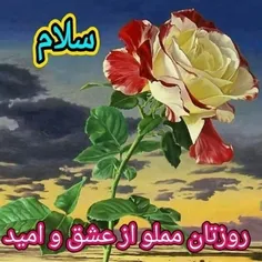 سلام روز بخیر