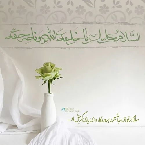 🍃اللهم عجل لولیک الفرج🍃