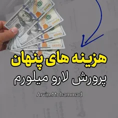 هزینه های پنهان پرورش لارو میل ورم با محمد آروین 